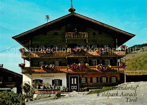 AK / Ansichtskarte Kitzbuehel_Tirol Wildpark Aurach Branderhof Kitzbuehel Tirol