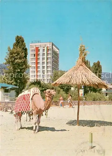 AK / Ansichtskarte Varna_Warna_Bulgaria Slatni Pjassazi Hotel Astorija m. Kamel 