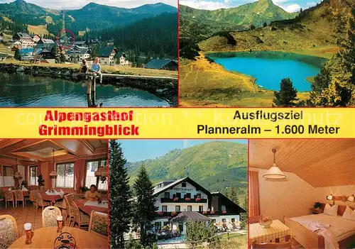 AK / Ansichtskarte Planneralm Alpengasthof Grimmingblick Teilansichten im Sommer 