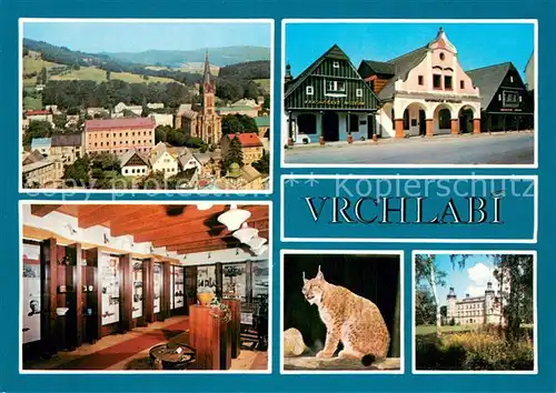 AK / Ansichtskarte Vrchlabi_Hohenelbe_Czechia Panorama Renovavne historicke domy Interier domu Rys ve vybehu zameckeho parku Zamek 