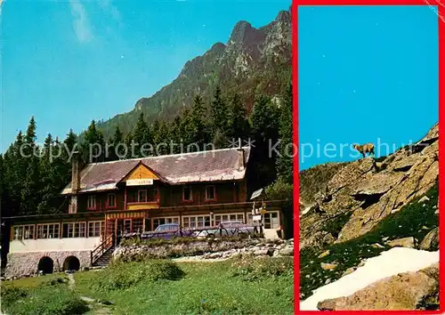 AK / Ansichtskarte Vysoke_Tatry Chata Kamzik  Vysoke Tatry