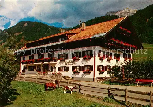 AK / Ansichtskarte Rubi_Oberstdorf Almenhof Ponys Allgaeuer Alpen Rubi_Oberstdorf