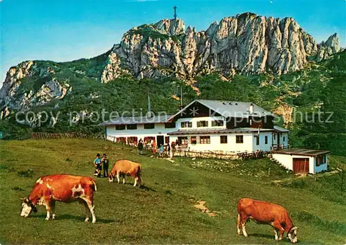 AK / Ansichtskarte Aschau_Chiemgau Steinlingalm mit Kampenwand Bayerische Alpen Almvieh Kuehe Aschau Chiemgau