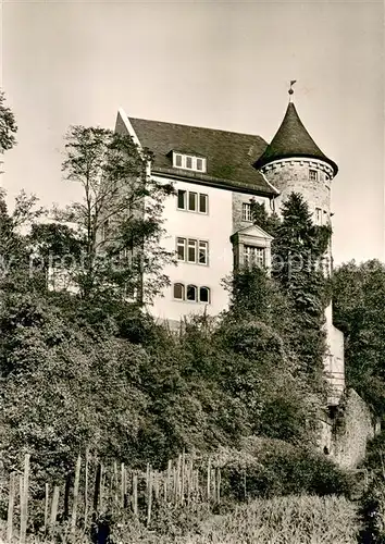 AK / Ansichtskarte Wiesloch Jugendburg Schloss Rotenberg Wiesloch