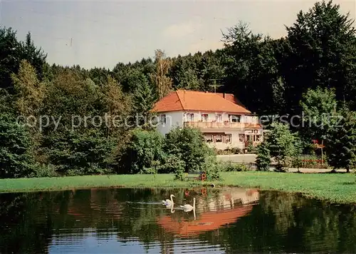 AK / Ansichtskarte Hesseln_Westfalen Waldgasthaus Cafe Hesseltal Schwanenteich Hesseln_Westfalen