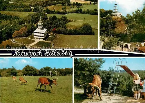 AK / Ansichtskarte Haren_Ems Naturpark Hilterberg Cafe Hilterberg Fliegeraufnahme Rotwild Spielplatz Haren_Ems
