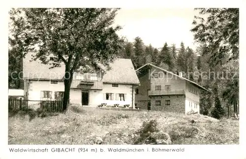 AK / Ansichtskarte Waldmuenchen Waldwirtschaft Gibacht Aussenansicht Waldmuenchen