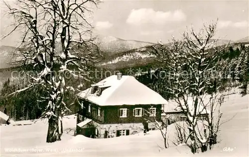 AK / Ansichtskarte St_Oswald Riedlhuette Pension Lindenhof Winter Schnee St_Oswald Riedlhuette