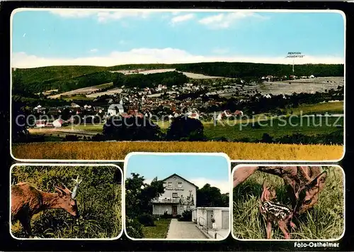 AK / Ansichtskarte Geiselbach Gesamtansicht u. Pension Hubertus Rehe Geiselbach