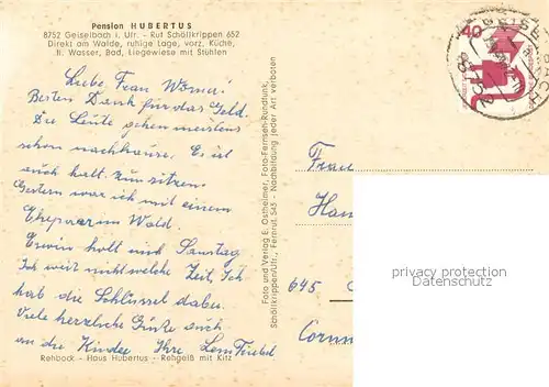 AK / Ansichtskarte Geiselbach Gesamtansicht u. Pension Hubertus Rehe Geiselbach