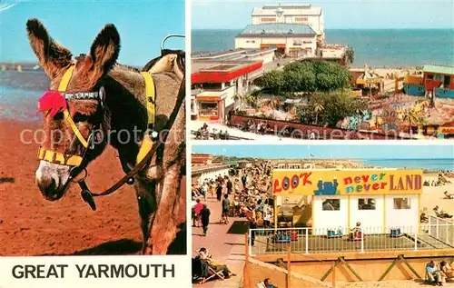 AK / Ansichtskarte Great_Yarmouth Britannia Pier north beach Esel Lasttier 