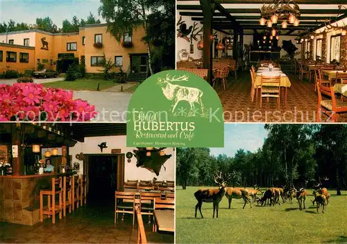 AK / Ansichtskarte Brome_Niedersachsen Hotel Hubertus Hirschherde Brome Niedersachsen