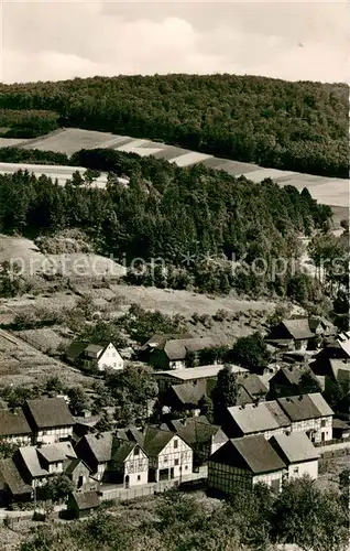 AK / Ansichtskarte Lauenberg_Solling Blick auf Petersberg Fachwerkhaeuser Lauenberg Solling