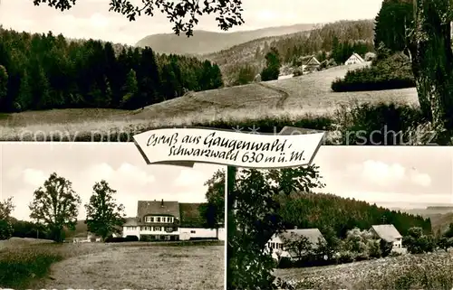 AK / Ansichtskarte Gaugenwald Pension Tannenhof Landschaftspanorama Schwarzwald Gaugenwald