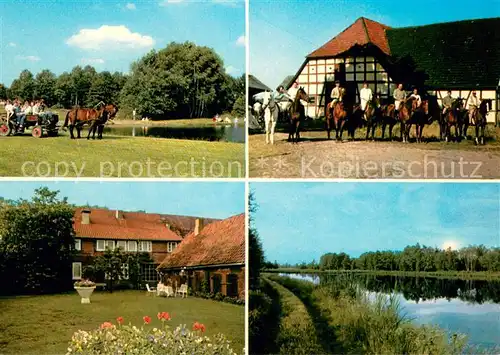 AK / Ansichtskarte Eldingen Sieglindenhof Pferde Eldingen