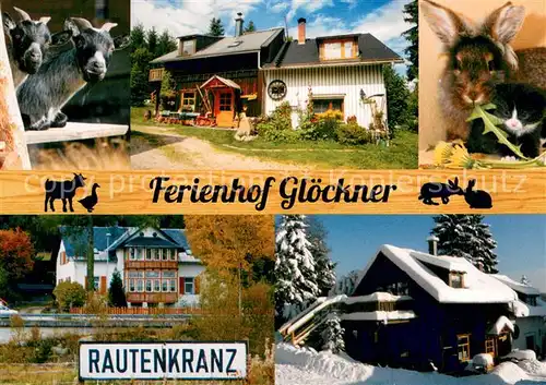AK / Ansichtskarte Rautenkranz_Vogtland Ferienhof Gloeckner Details Rautenkranz_Vogtland