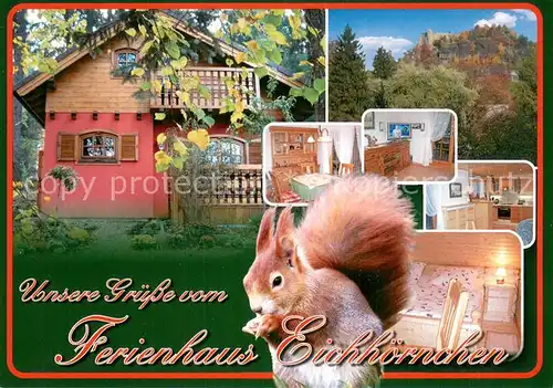 AK / Ansichtskarte Oybin Ferienhaus Eichhoernchen Oybin