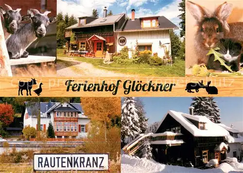 AK / Ansichtskarte Rautenkranz_Vogtland Ferienhof Gloeckner Ziegen Katzen Winteridyll Rautenkranz_Vogtland