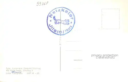 AK / Ansichtskarte Ilfeld_Suedharz Gasthaus Netzkater Rinderherde Panorama Letzter Wildkater Ilfeld Suedharz