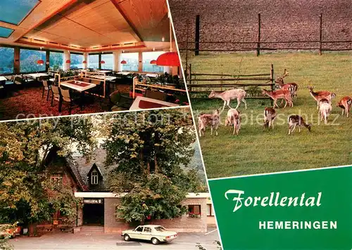 AK / Ansichtskarte Hemeringen Hotel Restaurant Forellental Wildgehege Hemeringen