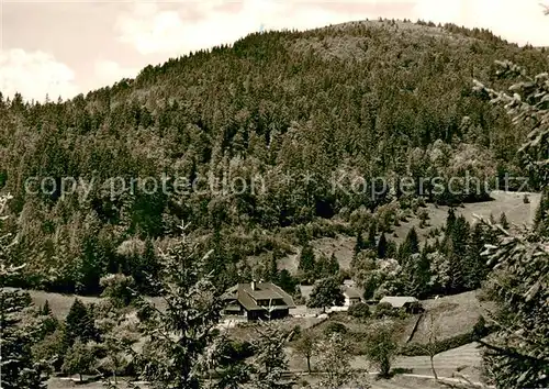 AK / Ansichtskarte Multen Pension Haus Ludovici im Schwarzwald Multen