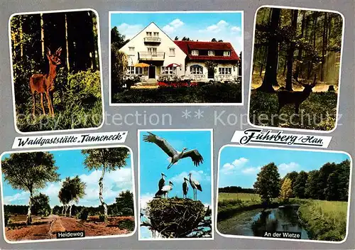 AK / Ansichtskarte Fuhrberg Waldgaststaette Tanneneck Reh Heidelandschaft Storchennest Wietze Fuhrberg