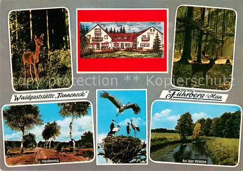AK / Ansichtskarte Fuhrberg Waldgaststaette Tanneneck Heidelandschaft Storchennest Reh im Wald An der Wietze Fuhrberg