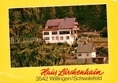 AK / Ansichtskarte Schwalefeld Pension Haus Laerchenhain Schwalefeld