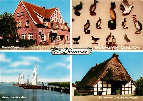 AK / Ansichtskarte Duemmerlohausen Pensionshaus Ausschnitt aus der Vogelsammlung Seeblick Bauernhaus mit Storchennest Duemmerlohausen