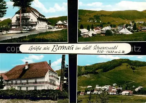 AK / Ansichtskarte Bernau_Schwarzwald Pension zum Loewen Panorama Bernau Schwarzwald