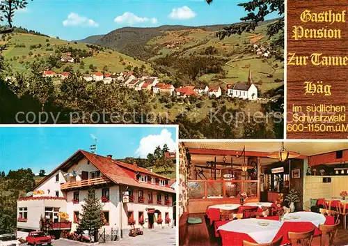 AK / Ansichtskarte Haeg Ehrsberg Gasthof Pension Zur Tanne Panorama Gaststube Haeg Ehrsberg