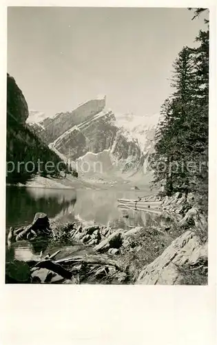 AK / Ansichtskarte Seealpsee_Saentis_IR Uferpartie am See Appenzeller Alpen 