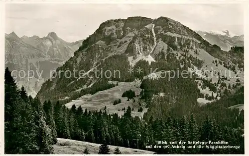 AK / Ansichtskarte Satteleggpass_Wilerzell Blick von der Passhoehe auf grossen Aubrig und Waeggitalerberge Alpen 