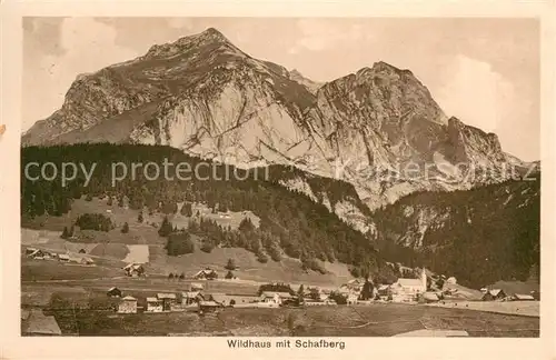AK / Ansichtskarte Wildhaus__SG Panorama mit Schafberg 