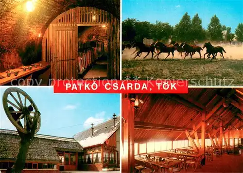 AK / Ansichtskarte Toek_Ungarn Patko Csarda Toek_Ungarn