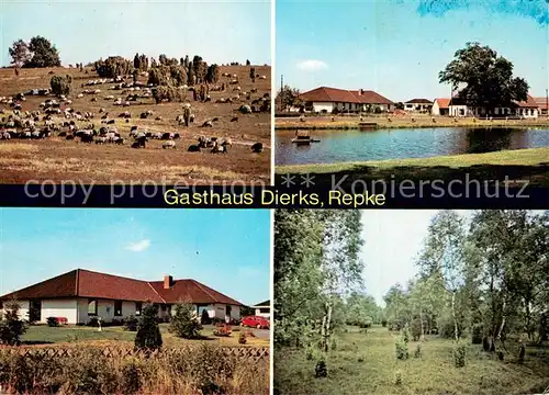 AK / Ansichtskarte Repke Gasthaus Pension Dierks Schafherde Naturansichten Repke