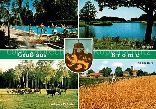 AK / Ansichtskarte Brome_Niedersachsen Freibad Ohresee An der Burg Wildpark Zicherie Brome Niedersachsen