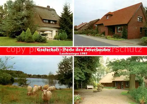 AK / Ansichtskarte Schortens Grafschaft Jeverland Schafe Schortens