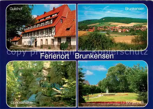 AK / Ansichtskarte Brunkensen Gesamtansicht Gutshof Lippoldshoehle Buergerpark Brunkensen