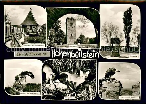 AK / Ansichtskarte Heilbronn_Neckar Burgfalknerei Hohenbeilstein Torhaus mit Gaensegeier Burghof Zisterne Falkner mit Steinadler Jungfuechse Gaensegeier Florian Heilbronn Neckar