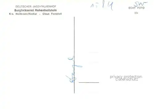 AK / Ansichtskarte Heilbronn_Neckar Burgfalknerei Hohenbeilstein Torhaus mit Gaensegeier Burghof Zisterne Falkner mit Steinadler Jungfuechse Gaensegeier Florian Heilbronn Neckar
