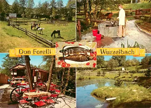 AK / Ansichtskarte Wurzelbach Kiosk und Fischbraterei Zum Don Forelli Brunnen Terrasse Teich Wurzelbach
