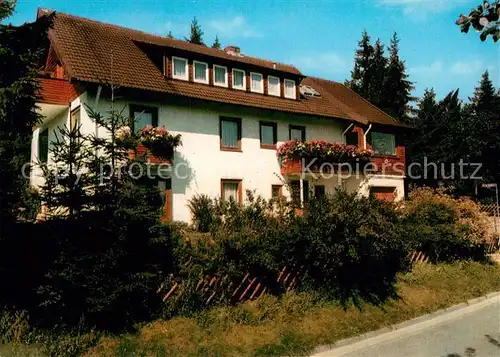 AK / Ansichtskarte Hahnenklee Bockswiese_Harz Haus Schauinsland Gaestehaus Pension Hahnenklee Bockswiese