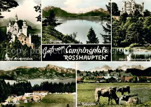 AK / Ansichtskarte Rosshaupten_Forggensee Campingplatz Landschaftspanorama Alpen Schloesser Viehweide Rosshaupten Forggensee