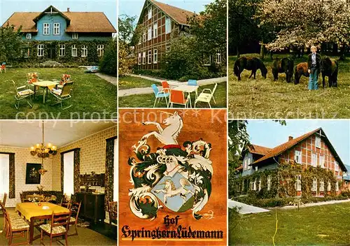 AK / Ansichtskarte Frielingen_Soltau Urlaub auf dem Bauernhof Hof Springhorn Ponys Wappen Frielingen Soltau