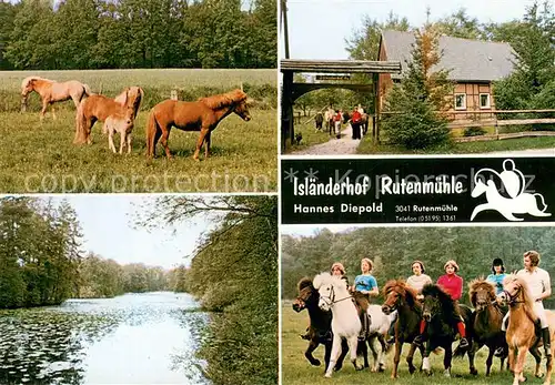 AK / Ansichtskarte Rutenmuehle Islaenderhof Rutenmuehle Pferde Teilansichten Rutenmuehle