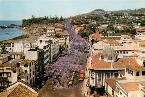 AK / Ansichtskarte Madeira_Portugal Avenues of flowering jacaranda trees Funchal 
