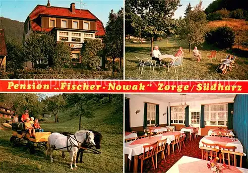 AK / Ansichtskarte Zorge Pension Fischer Nowak Gastraum Garten Ponywagen Zorge