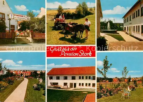 AK / Ansichtskarte Bad_Holzhausen_Luebbecke Pension Haus Stork am Wiehengebirge Ponywagen Bad_Holzhausen_Luebbecke