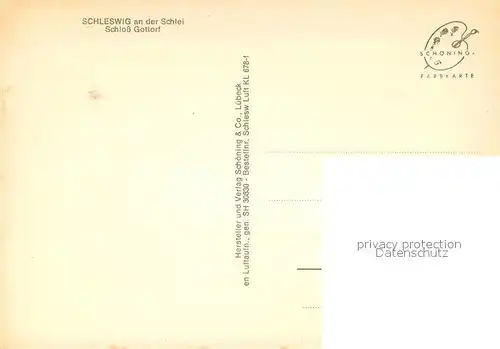 AK / Ansichtskarte Schleswig_Schlei Fliegeraufnahme Schloss Gottorf Schleswig_Schlei